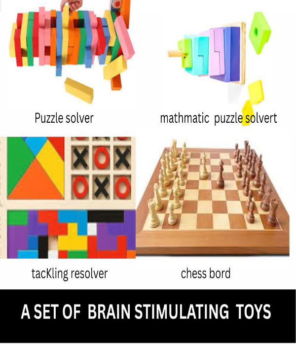 AKC brain stimulating toys set